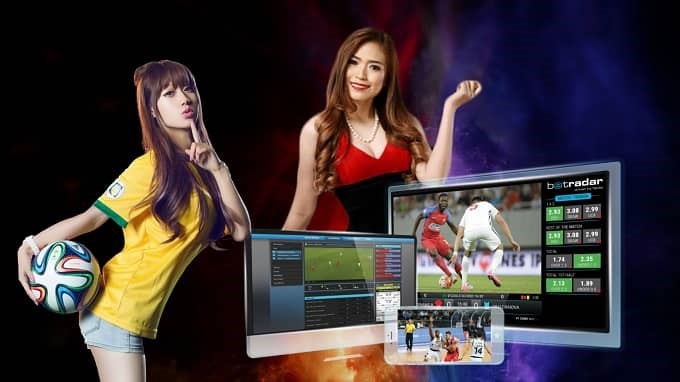 What are sports betting odds, paylines, and payout rates?
