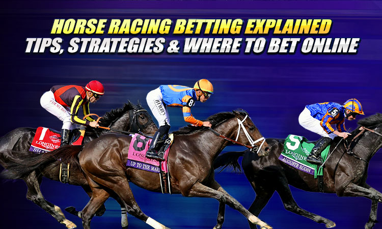 horse racing betting singapore
